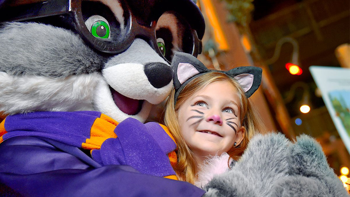 Things To Do This Weekend October 11-13, 2024